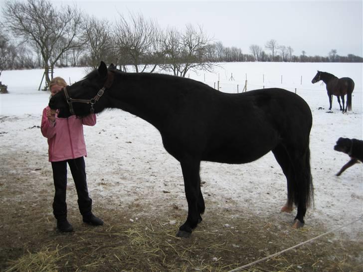 Oldenborg Frej Blæsenborg - Camilla gir´lige en godte :-) billede 9
