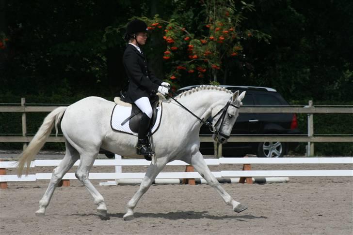 Anden særlig race sasja B PONY ! ILY. SOLGT - velkommen til sasja´s profil. på det her billede er vi til dressur stævne i nor og vi rider la4 billede 1