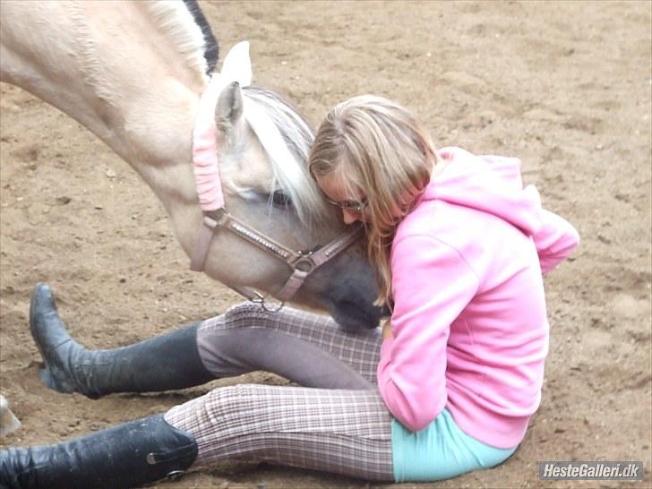 Fjordhest Columbine Bøgely - I´m yours (; <3 billede 12