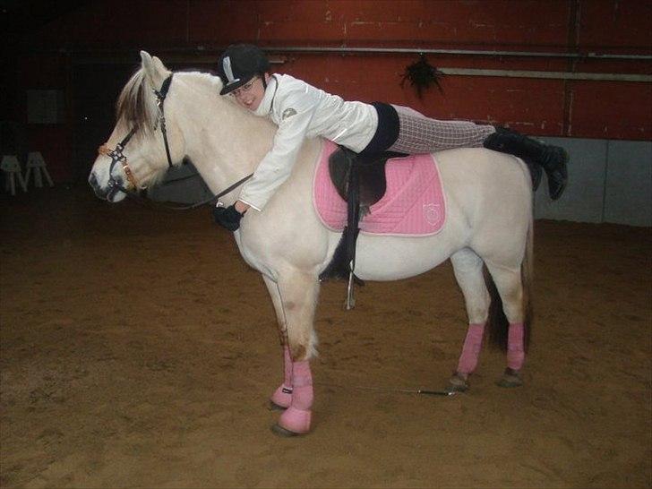 Fjordhest Columbine Bøgely - Fordi vi har tillid til hinanden, og det vi har sammen vil aldrig forsvinde ;i<3 FOTO: Sofie Jensen billede 15