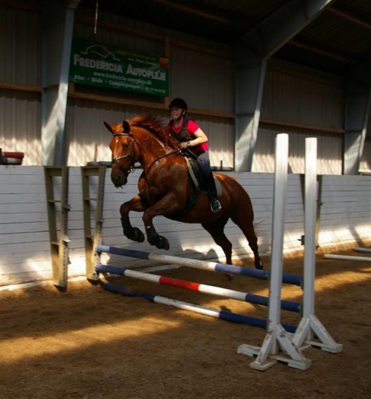 Anden særlig race Sensor-*R.I.P-13/04-2011* - VELKOMMEN !! ;D.. nyd min profil !!!=)..   miig og henriette springer ..(;   JUBII !!!=)..  på ridelejr !! billede 10