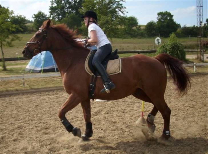 Anden særlig race Sensor-*R.I.P-13/04-2011* - mig og henriette rider ponygames .. det var rigtig sjovt og det er jeg sikker på henriette oss syndes !!=).. på ridelejr !!!!;D.. billede 2