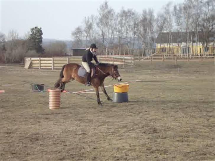 Anden særlig race tanja R.I.P billede 9