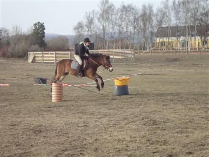 Anden særlig race tanja R.I.P billede 10