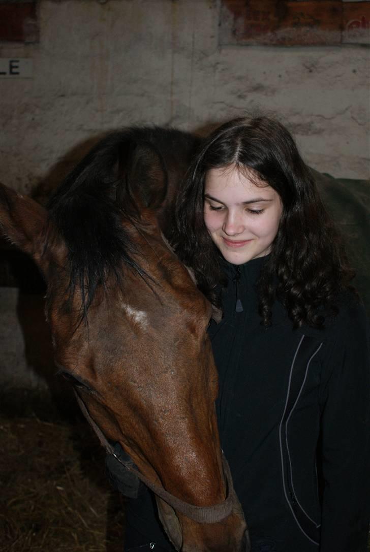 Anden særlig race Ramses R.I.P Altid elsket - Min lille Ramme Basse billede 9