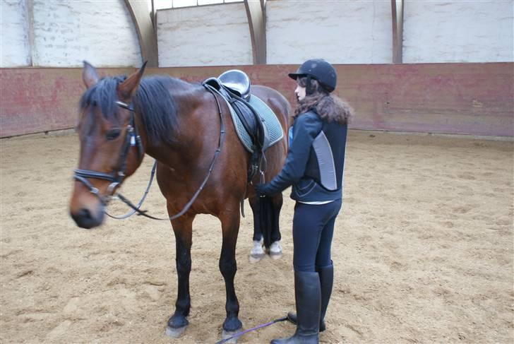 Anden særlig race Tøsen - jeg retter lige stigbøjlerne billede 1