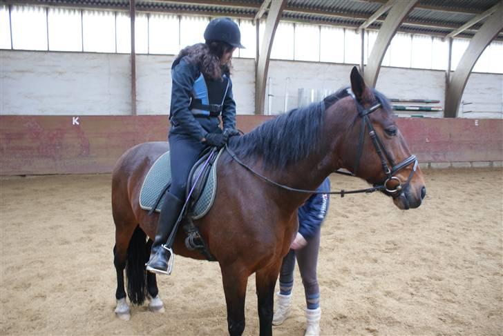 Anden særlig race Tøsen - jeg sidder ikke så godt billede 2