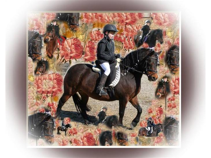 {{currentPhoto.altText}} billede {{currentPhoto.number}}