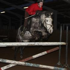 Anden særlig race Silver Moon (part) <3