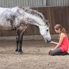 Anden særlig race Silver Moon (part) <3