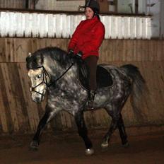 Anden særlig race Silver Moon (part) <3