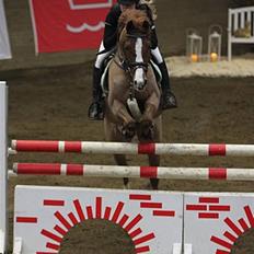 Hollandsk Sportspony Chili Pepper K