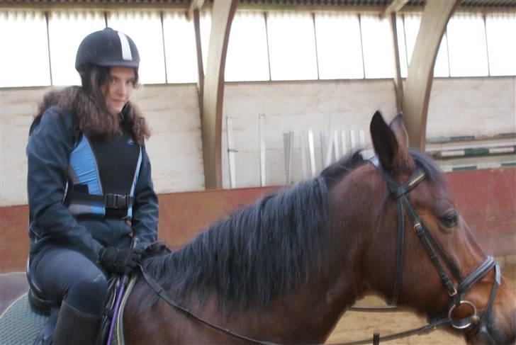 Anden særlig race Tøsen - Afsted billede 3