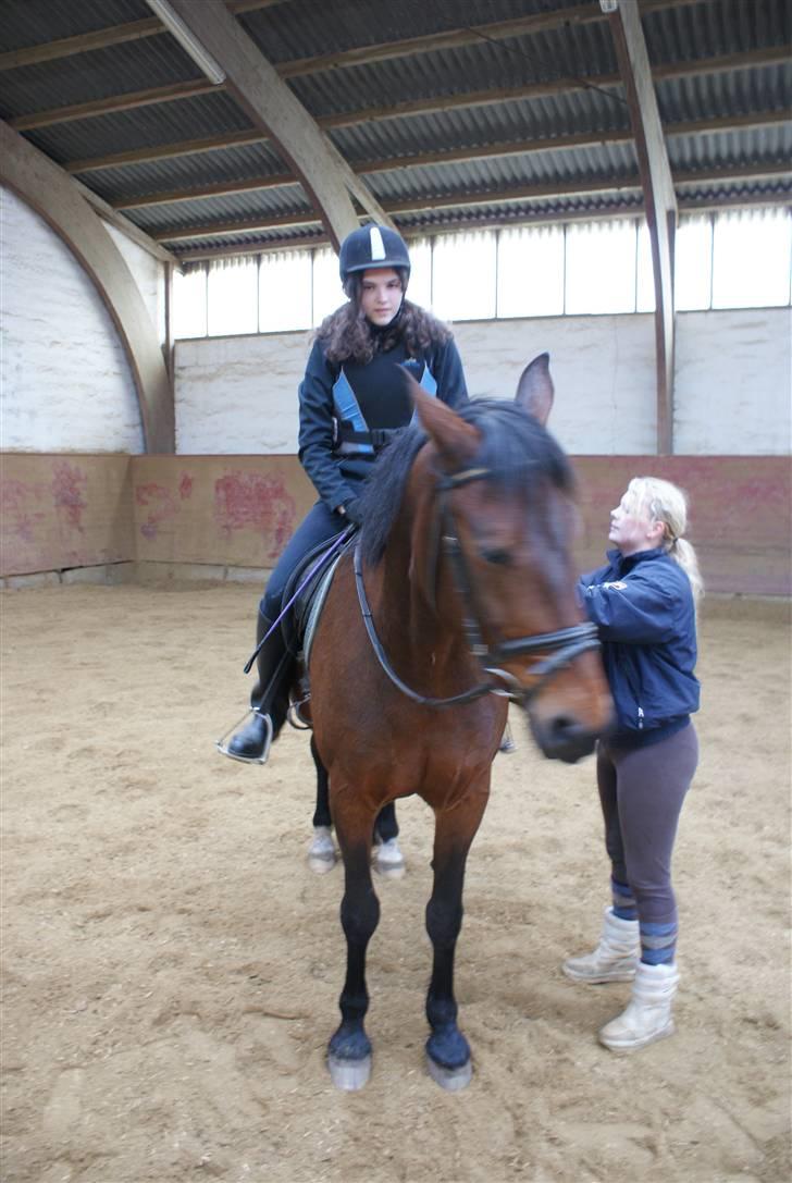 Anden særlig race Tøsen - Tøsen er lidt utålmodig billede 4