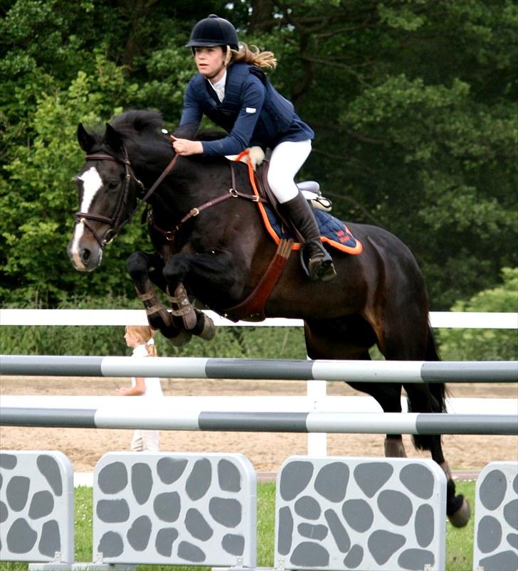 Irsk Sportspony Top Bacardi - SOLGT - MB til Svendborg distriktsstævne, nul og 3 plads :) Foto: Clara Chop billede 19