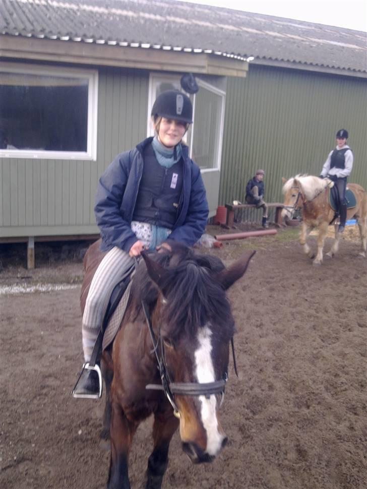 Connemara | Pickwick *gl. part :'(* - Første dag udenfor i 2010 <3 Foto: Nina billede 18