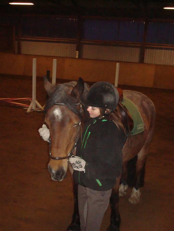 Irish Cob Verbena Savnet. Tidl part - Mig og Verbena :) Fotograf: Min mor (susan) billede 7