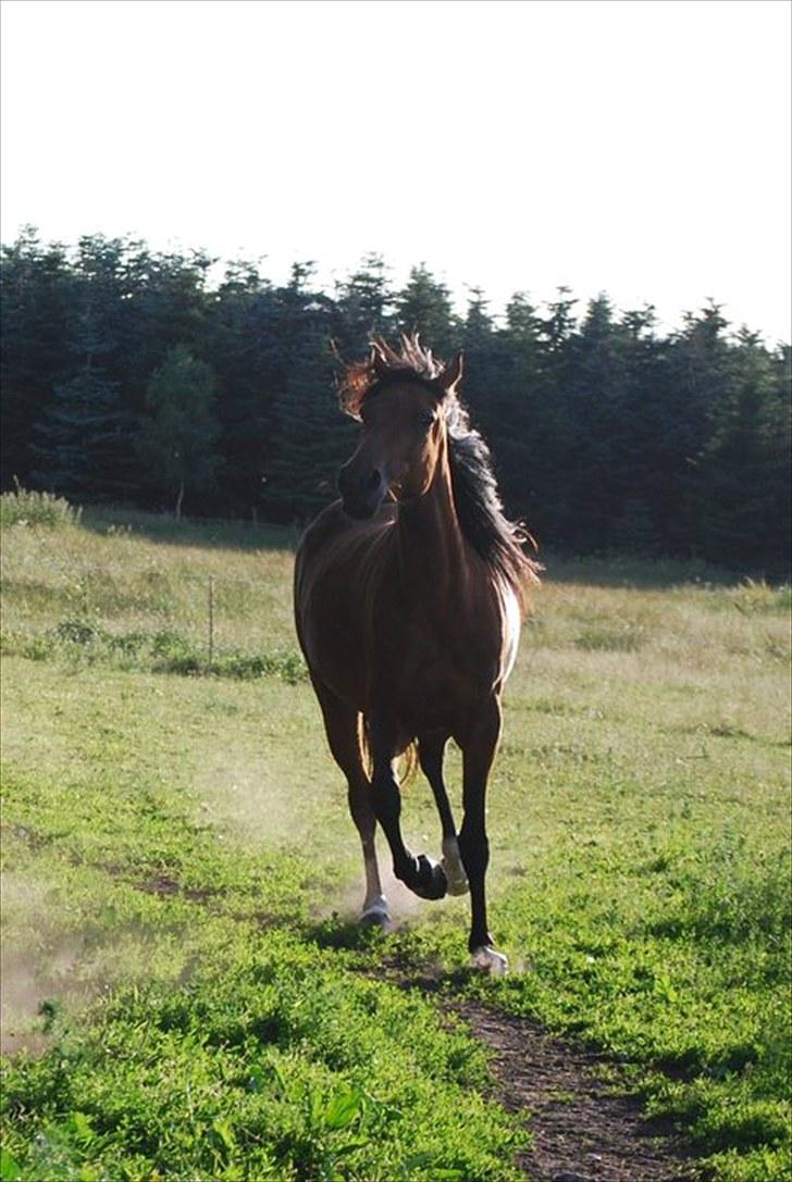 Traver | Kiara <3 *Part* billede 15