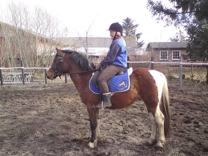 Anden særlig race Sultan - Piv på Sultan for første gang :-) billede 7