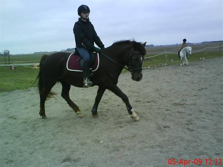 Anden særlig race Miss trixie bell  - Dressur :) billede 13