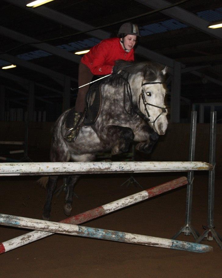 Anden særlig race Silver Moon (part) <3 - Silvermoon over en oxer på 118,5 cm :-D<3 ;) foto: camilla <3 . billede 1