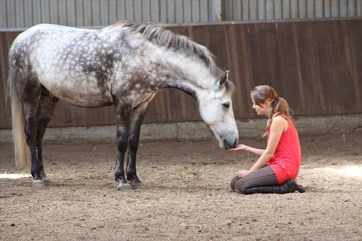 Anden særlig race Silver Moon (part) <3 - venskab for livet <3 jeg elsker dig prins!<3 foto: camilla billede 2