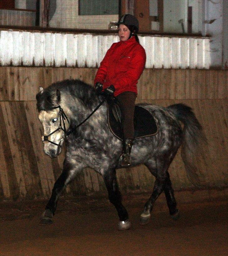 Anden særlig race Silver Moon (part) <3 - no one like you baby<3 øge kan du da godt nok også!! :-D<3. foto: camilla (-; . billede 3