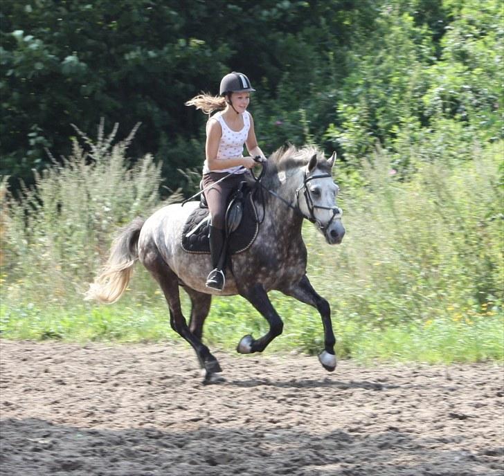 Anden særlig race Silver Moon (part) <3 - fuld fart frem på min bette pony <3. foto: camilla (: billede 4