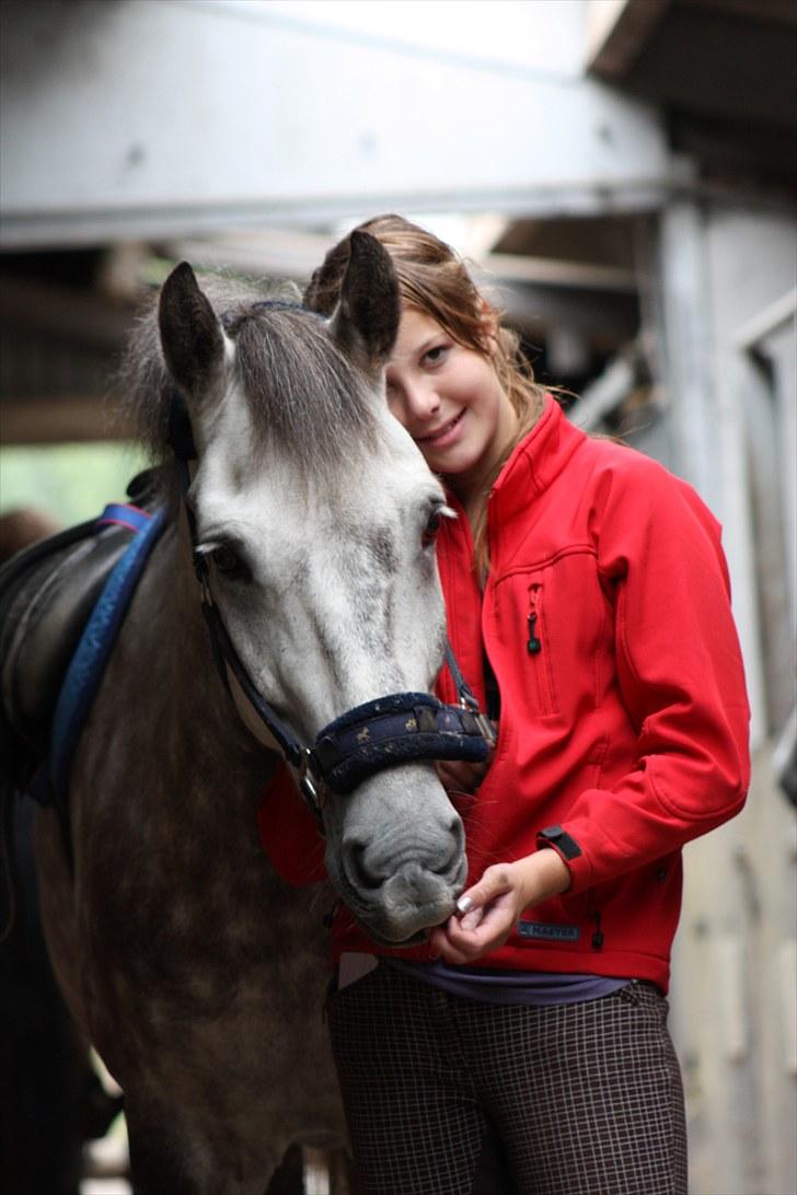 Anden særlig race Silver Moon (part) <3 - den dejlige pony <3 foto: camilla :D´ . billede 5