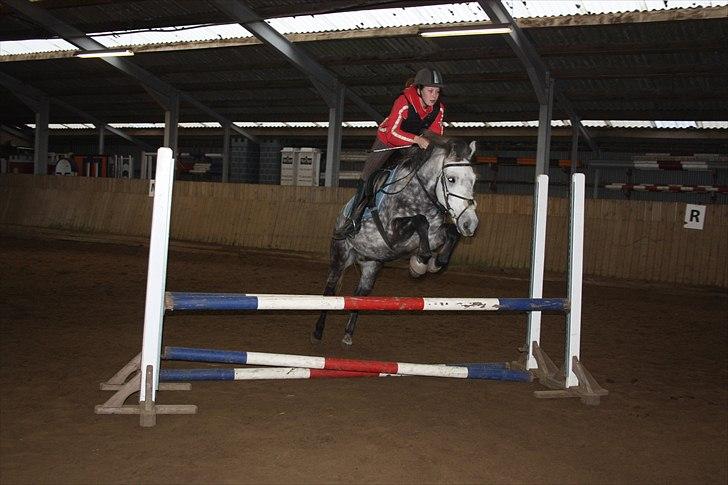 Anden særlig race Silver Moon (part) <3 - silver moon over en høj oxer!:D<3 foto: camilla billede 7