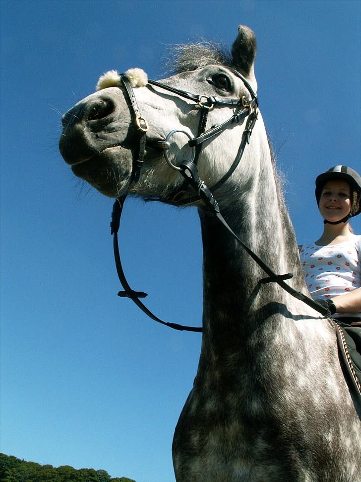 Anden særlig race Silver Moon (part) <3 - siilver mooon :D <3 foto: camilla billede 8