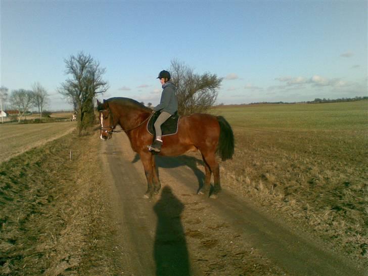 Oldenborg Sebastian - Basse billede 16