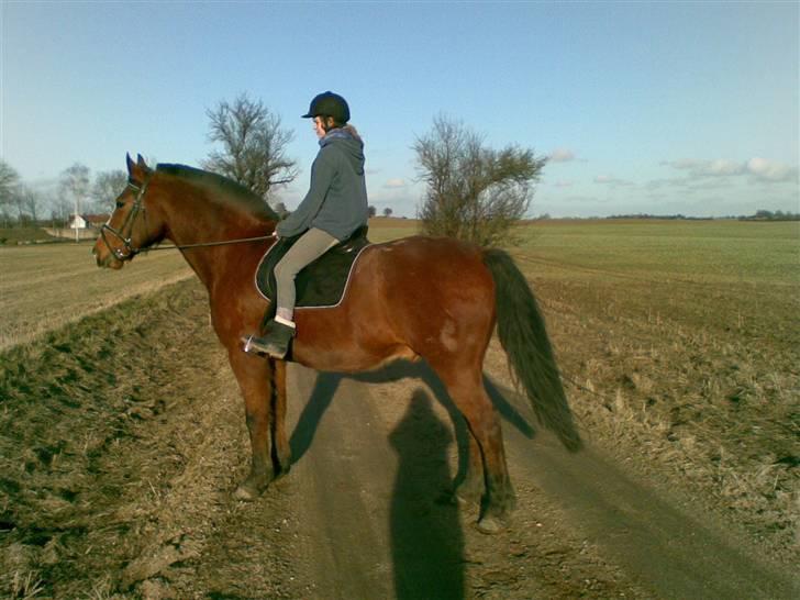 Oldenborg Sebastian - Basse billede 17