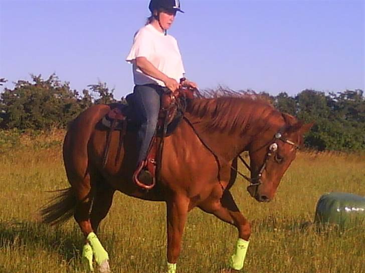 Paint Two Spot Ice - Ice&Fie, træning i sommer 09 billede 2