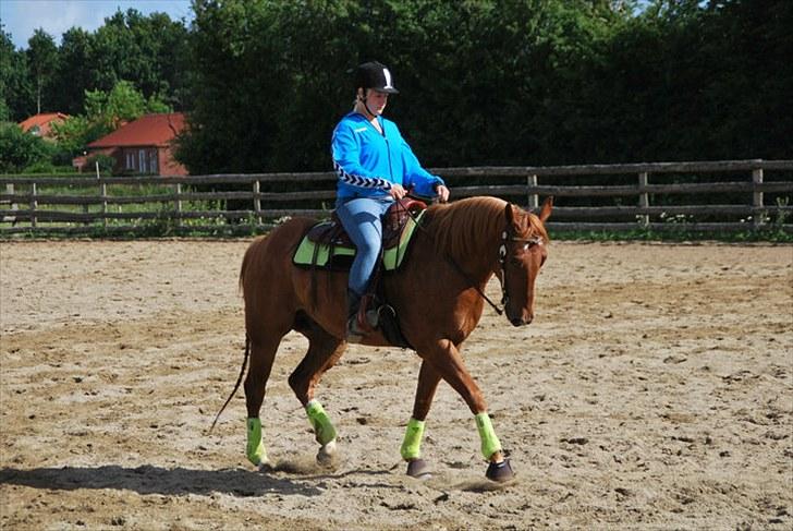 Paint Two Spot Ice - Træning, træning og træning... :D billede 7