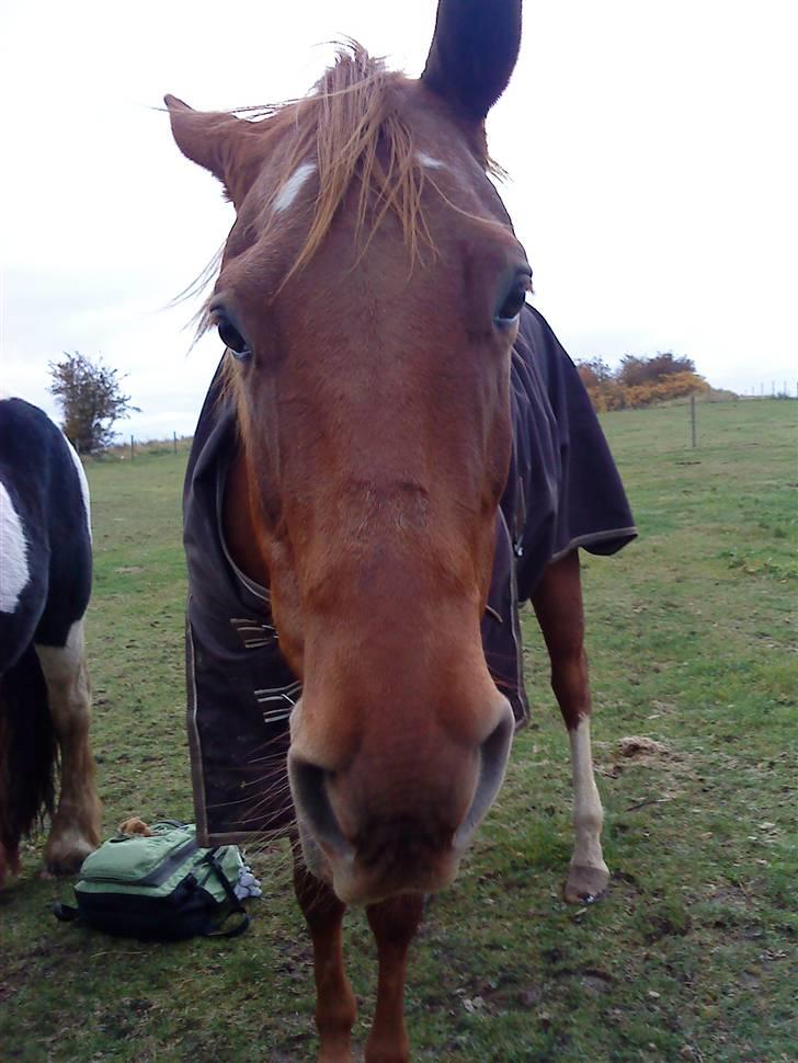 Paint Two Spot Ice - Man kan ikke altid se godt ud?! billede 8