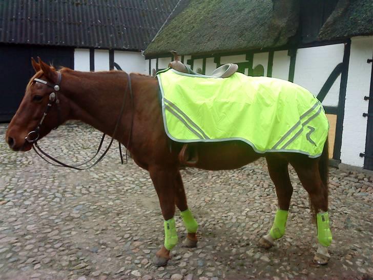 Paint Two Spot Ice - Han er SÅ sej med sit grønne udstyr! :D billede 10