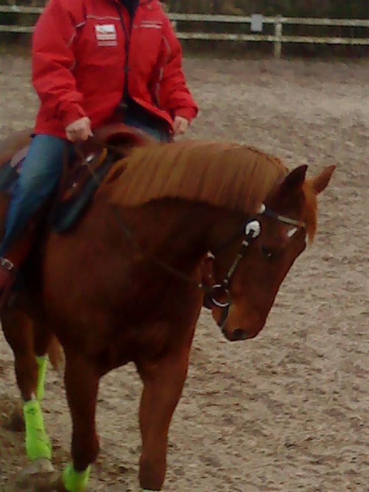 Paint Two Spot Ice - SMUK! ;) billede 12