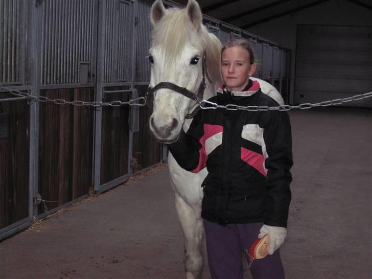 Anden særlig race Timon *halvpart* - Så skal der strigles!! :D billede 6