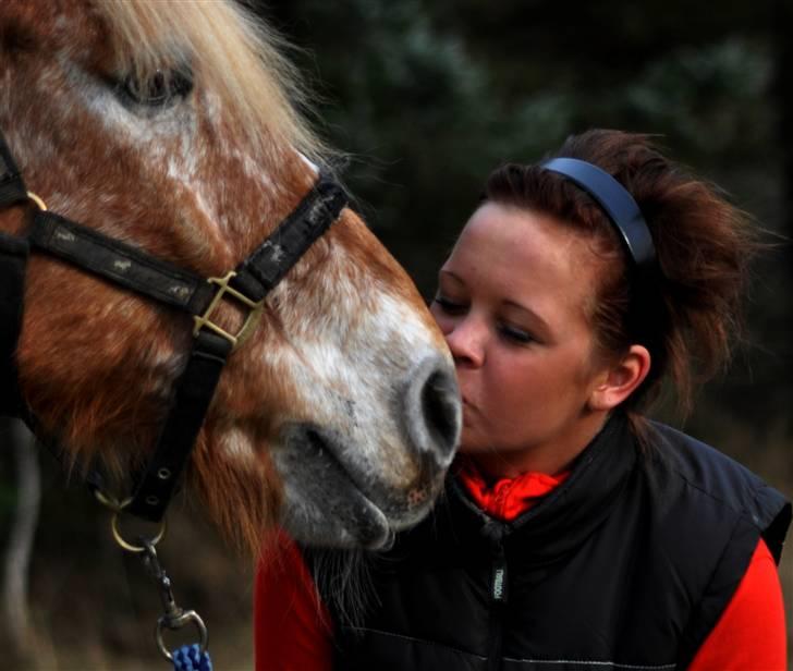 Anden særlig race Just Hugo Forever -part. - jeg elsker dig, mere end noget andet! billede 14