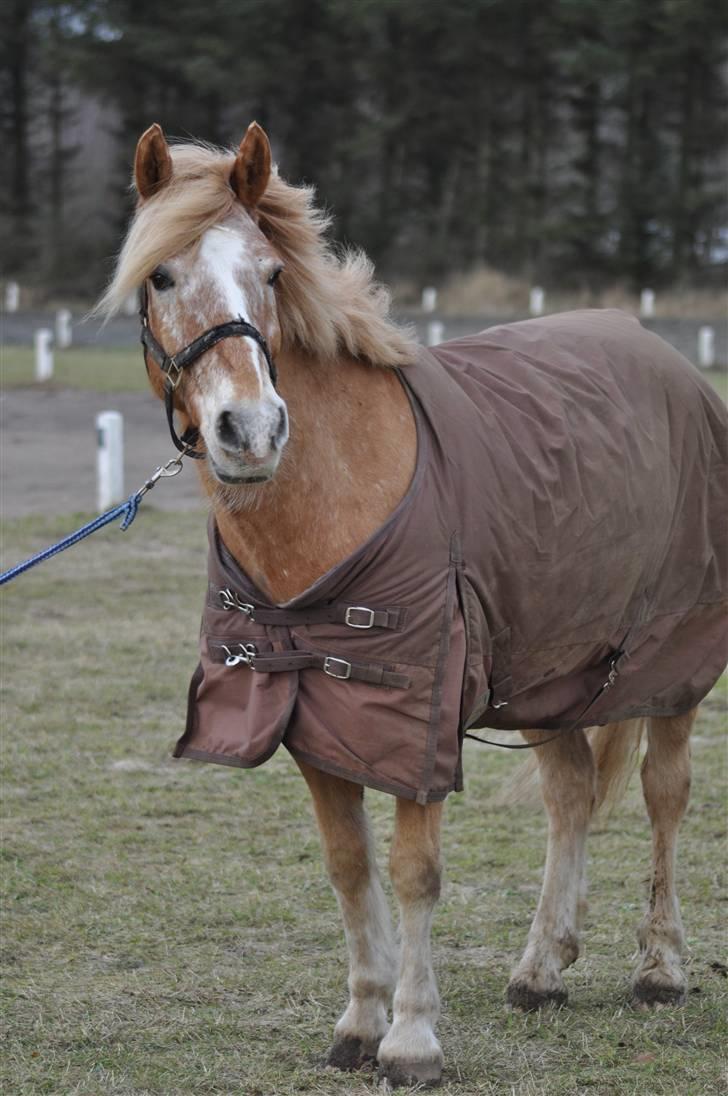 Anden særlig race Just Hugo Forever -part. - du så smuk<3 billede 17