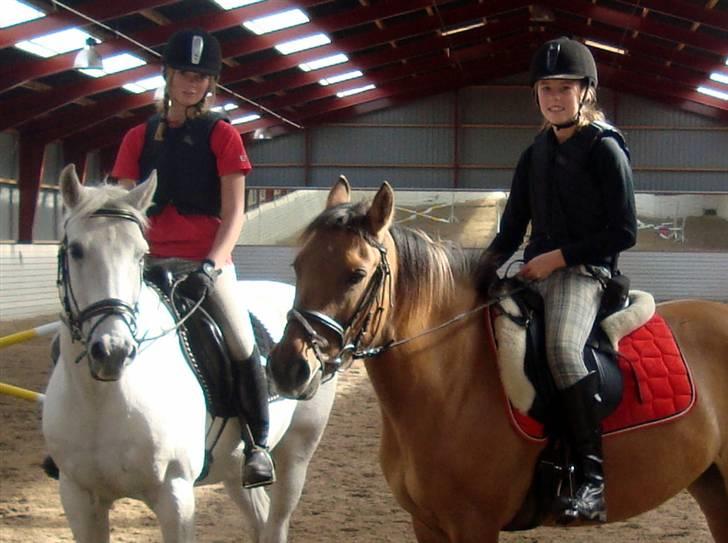 Anden særlig race Højgårdens Bella billede 18