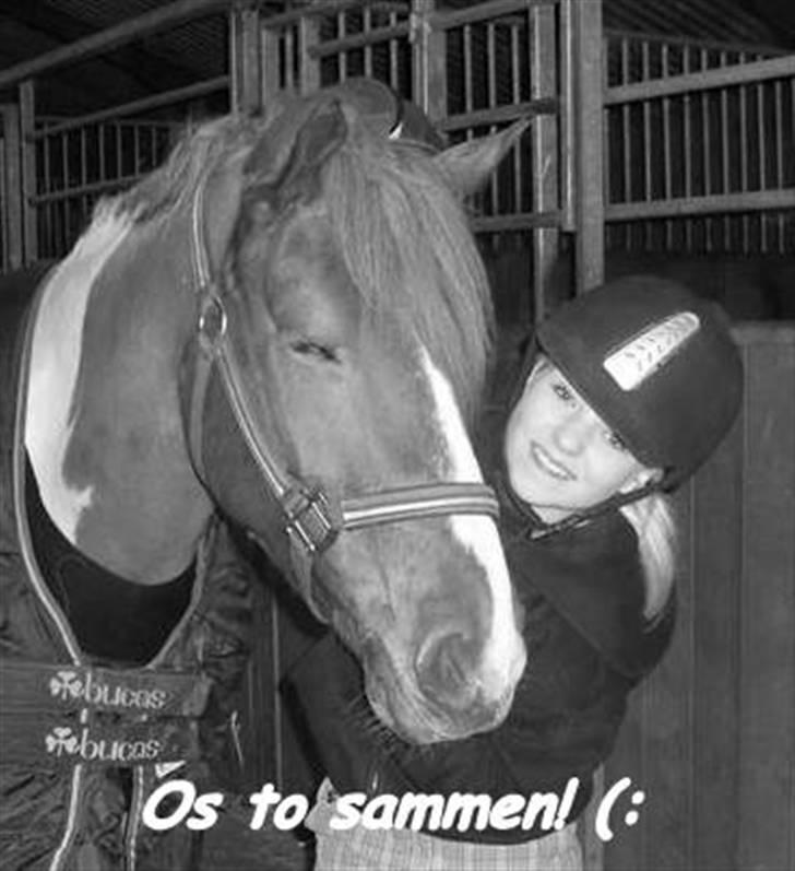 Anden særlig race Painted Beauty | - #11 Sødeste lille ponymus <3 <3 billede 11