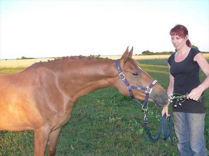 DSP Lille Asserholt Naomi [KLUBMESTER 2011] - Mor og Baby dagen før vores 2. stævne :) billede 19