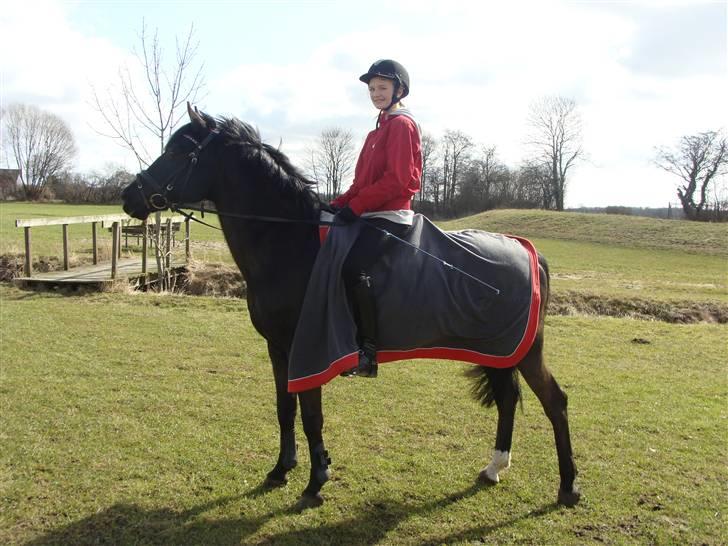 Anden særlig race Pakito - SOLGT - yndlings kitto billede 17