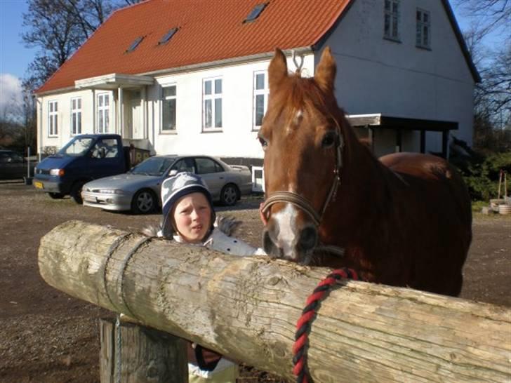 Sportsaraber (A) Felicia!<3 tildhest r.i.p - Mig & Fylle på strigle pladsen <3 (: billede 6