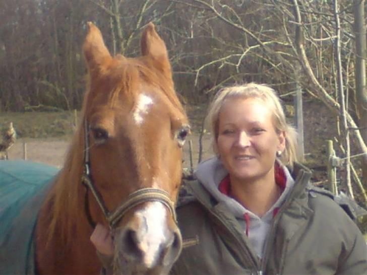 Sportsaraber (A) Felicia!<3 tildhest r.i.p - Fylle og hendes tidliger ejer Pernille( min moster ) <3 billede 9