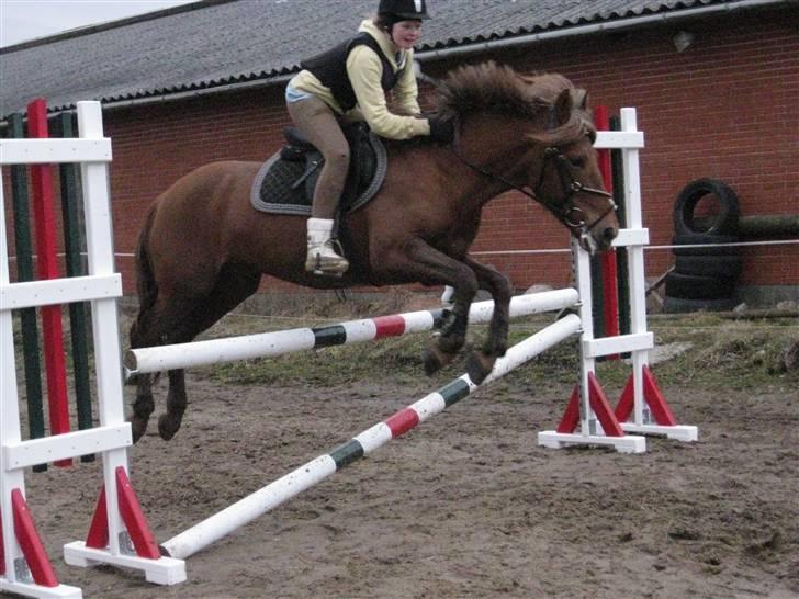 Anden særlig race Barcardi - Springtræning hjemme 2010 billede 15