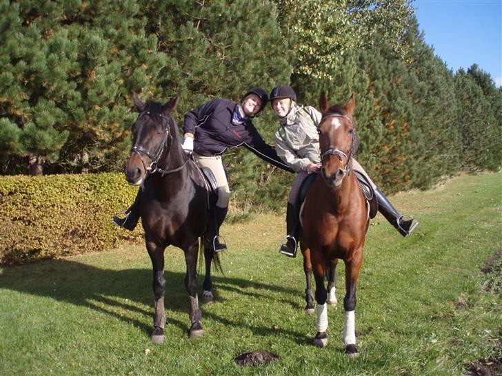 Oldenborg Malina row billede 3