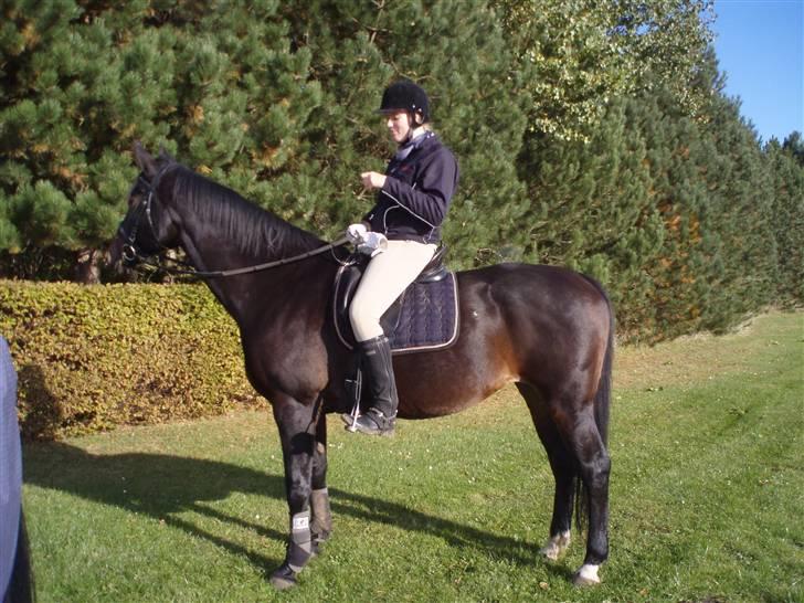 Oldenborg Malina row billede 5